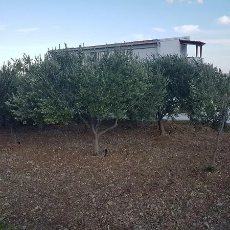 Villa Vila Maslina Kaštela